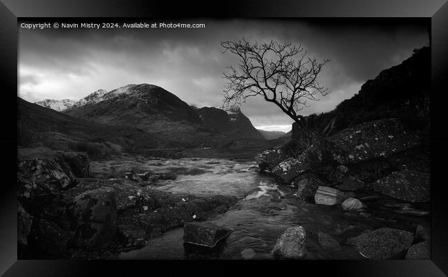 A view of the a burn and lone tree Glen Coe Scotla Framed Print by Navin Mistry