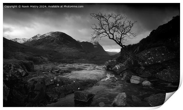 A view of the a burn and lone tree Glen Coe Scotla Print by Navin Mistry
