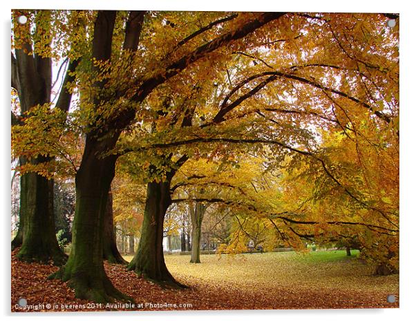fall trees Acrylic by Jo Beerens