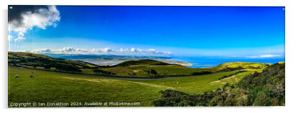 Aberdovey Panorama Acrylic by Ian Donaldson