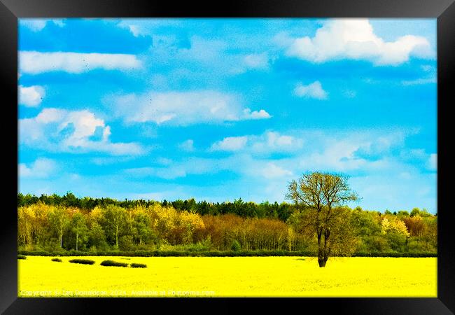 Mellow Yellow Framed Print by Ian Donaldson