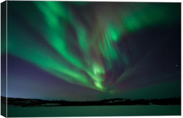 Aurora Borealis, Northern Lights, at Yellowknife, Northwest Territories, Canada Canvas Print by Chun Ju Wu