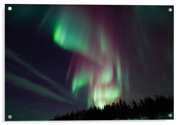 Aurora Borealis, Northern Lights, at Yellowknife, Northwest Territories, Canada Acrylic by Chun Ju Wu