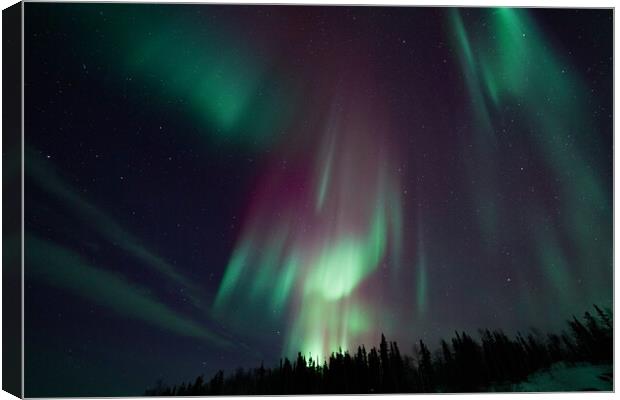 Aurora Borealis, Northern Lights, at Yellowknife, Northwest Territories, Canada Canvas Print by Chun Ju Wu