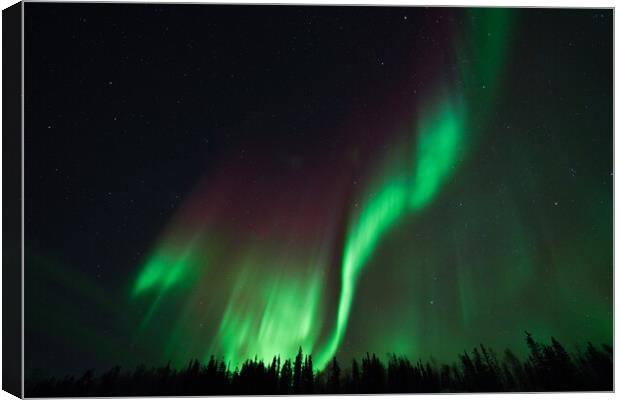 Aurora Borealis, Northern Lights, at Yellowknife, Northwest Territories, Canada Canvas Print by Chun Ju Wu