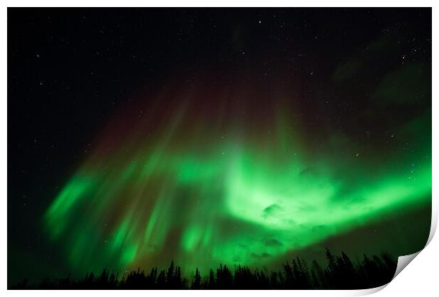 Aurora Borealis, Northern Lights, at Yellowknife, Northwest Territories, Canada Print by Chun Ju Wu