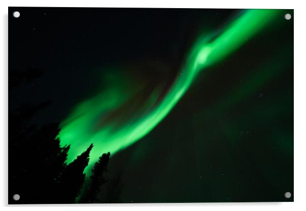 Aurora Borealis, Northern Lights, at Yellowknife, Northwest Territories, Canada Acrylic by Chun Ju Wu