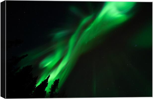 Aurora Borealis, Northern Lights, at Yellowknife, Northwest Territories, Canada Canvas Print by Chun Ju Wu