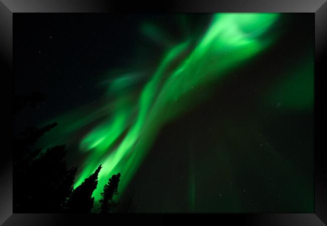 Aurora Borealis, Northern Lights, at Yellowknife, Northwest Territories, Canada Framed Print by Chun Ju Wu