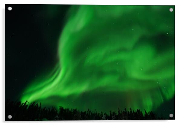 Aurora Borealis, Northern Lights, at Yellowknife, Northwest Territories, Canada Acrylic by Chun Ju Wu