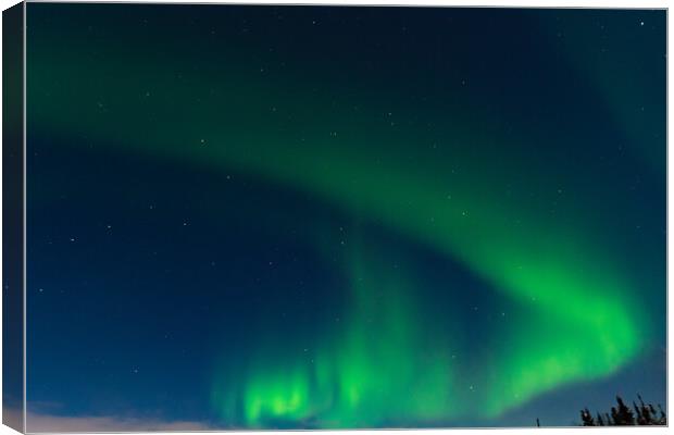 Aurora Borealis, Northern Lights, at Yellowknife, Northwest Territories, Canada Canvas Print by Chun Ju Wu