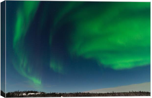 Aurora Borealis, Northern Lights, at Yellowknife, Northwest Territories, Canada Canvas Print by Chun Ju Wu
