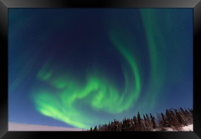 Aurora Borealis, Northern Lights, at Yellowknife, Northwest Territories, Canada Framed Print by Chun Ju Wu
