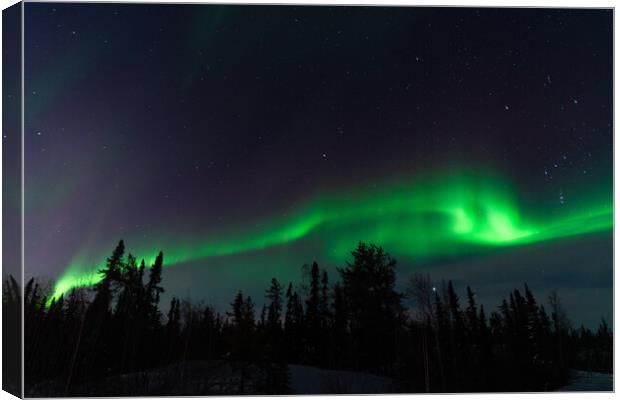 Aurora Borealis, Northern Lights, at Yellowknife, Northwest Territories, Canada Canvas Print by Chun Ju Wu