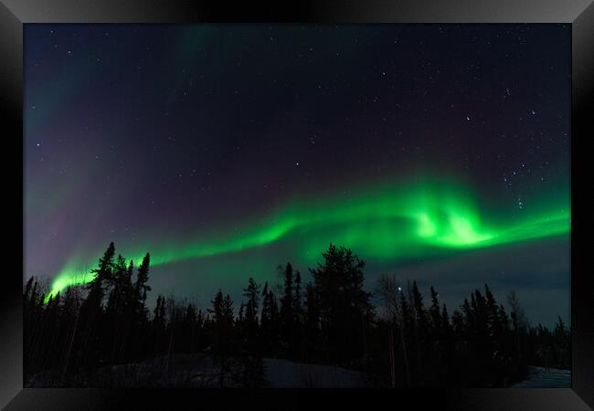 Aurora Borealis, Northern Lights, at Yellowknife, Northwest Territories, Canada Framed Print by Chun Ju Wu