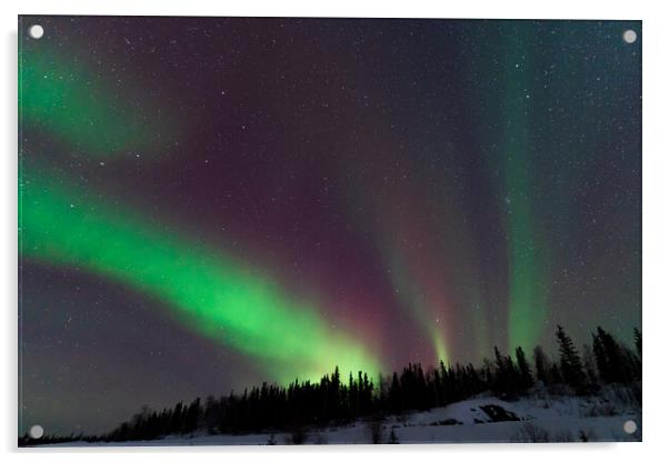 Aurora Borealis, Northern Lights, at Yellowknife, Northwest Territories, Canada Acrylic by Chun Ju Wu