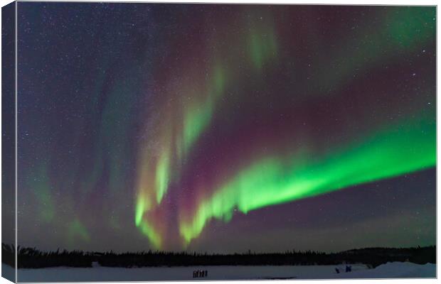 Aurora Borealis, Northern Lights, at Yellowknife, Northwest Territories, Canada Canvas Print by Chun Ju Wu