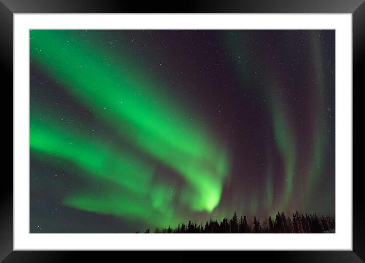 Aurora Borealis, Northern Lights, at Yellowknife, Northwest Territories, Canada Framed Mounted Print by Chun Ju Wu