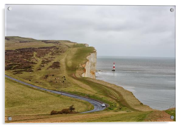 Beachy Head Acrylic by Mark Godden