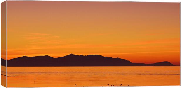 Arran mountains silhouetted at sunset Canvas Print by Allan Durward Photography