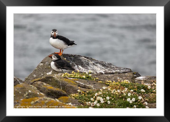 Puffin Mates Framed Mounted Print by Ken Hunter