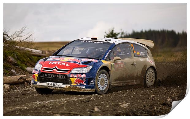 Dani Sordo Print by David Maclennan