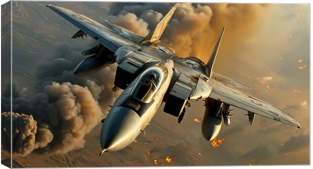 Grumman F-14 Tomcat Canvas Print by Airborne Images