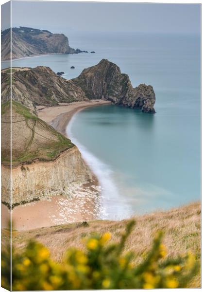 Durdle Door winter morning view  Canvas Print by Shaun Jacobs