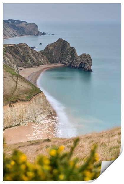 Durdle Door winter morning view  Print by Shaun Jacobs