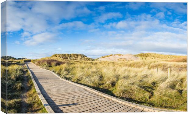 Board walk over the sand dunes Canvas Print by Jason Wells
