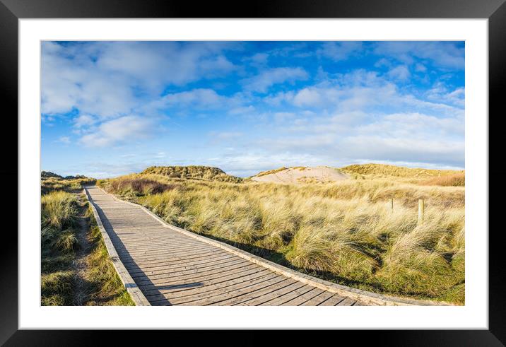 Board walk over the sand dunes Framed Mounted Print by Jason Wells