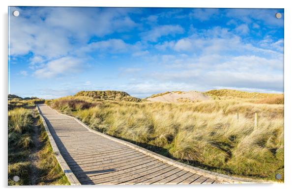 Board walk over the sand dunes Acrylic by Jason Wells