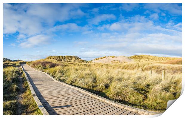 Board walk over the sand dunes Print by Jason Wells