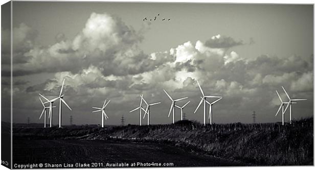Powered by wind Canvas Print by Sharon Lisa Clarke