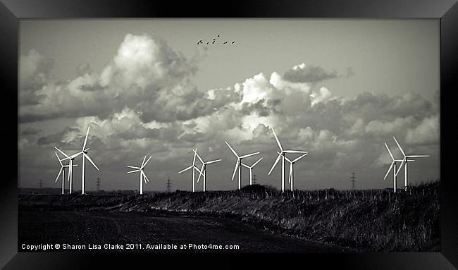 Powered by wind Framed Print by Sharon Lisa Clarke