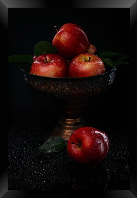 Red apples. Still life. Framed Print by Olga Peddi