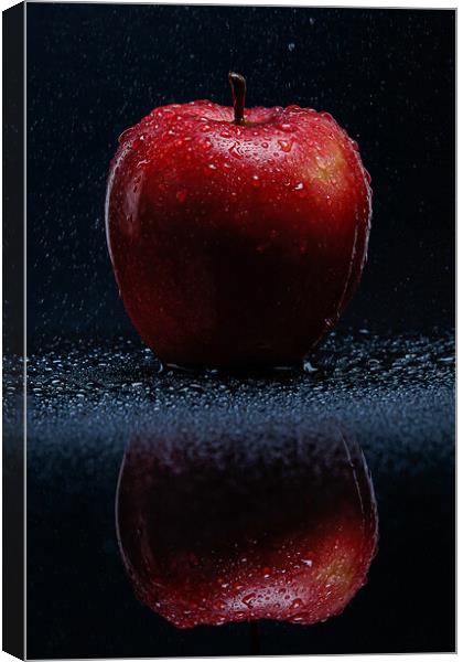 Red apple with water drops Canvas Print by Olga Peddi