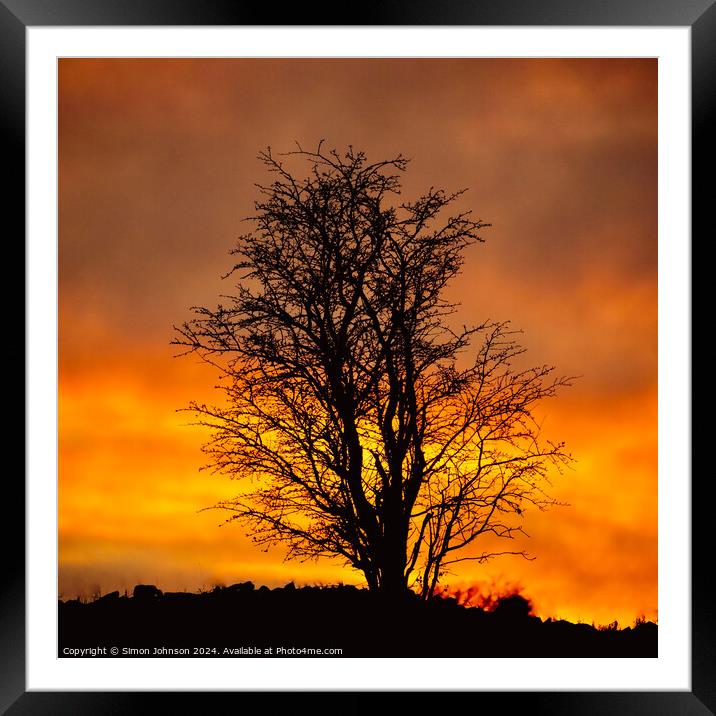 treescape Framed Mounted Print by Simon Johnson