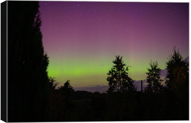 Yellow and Pink Aurora with tree silhouettes in the Scottish Borders, United Kingdom Canvas Print by Dave Collins