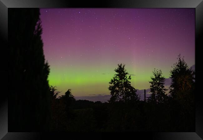 Yellow and Pink Aurora with tree silhouettes in the Scottish Borders, United Kingdom Framed Print by Dave Collins