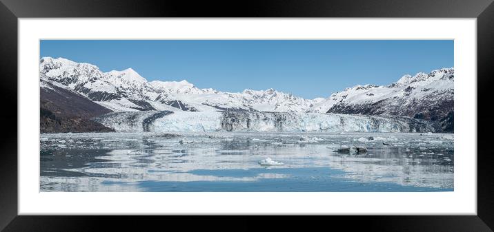  Harvard Tidewater Glacier at the end of College Fjord, Alaska, USA Framed Mounted Print by Dave Collins