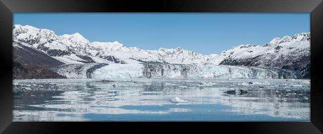  Harvard Tidewater Glacier at the end of College Fjord, Alaska, USA Framed Print by Dave Collins