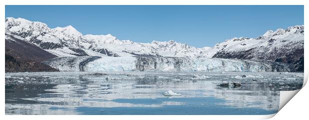  Harvard Tidewater Glacier at the end of College Fjord, Alaska, USA Print by Dave Collins