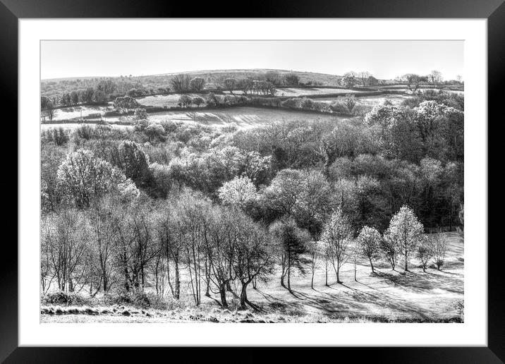 Dartmoor Hills Morning  Framed Mounted Print by David Pyatt