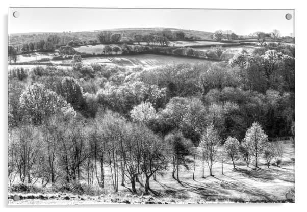 Dartmoor Hills Morning  Acrylic by David Pyatt