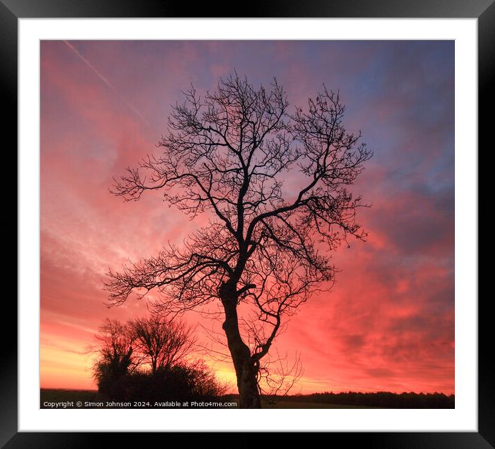 Plant tree Framed Mounted Print by Simon Johnson