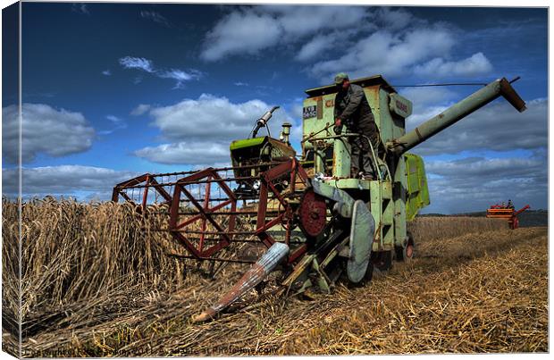 a touch of Claas Canvas Print by Rob Hawkins
