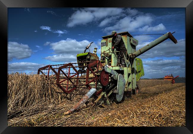 a touch of Claas Framed Print by Rob Hawkins