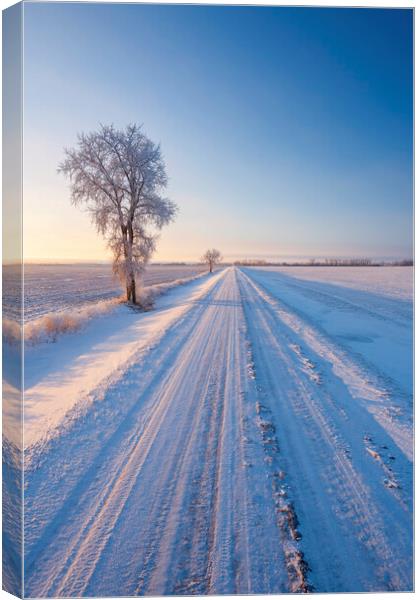 backroad through farmland  in winter Canvas Print by Dave Reede