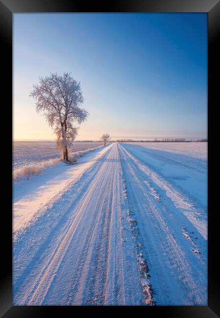 backroad through farmland  in winter Framed Print by Dave Reede